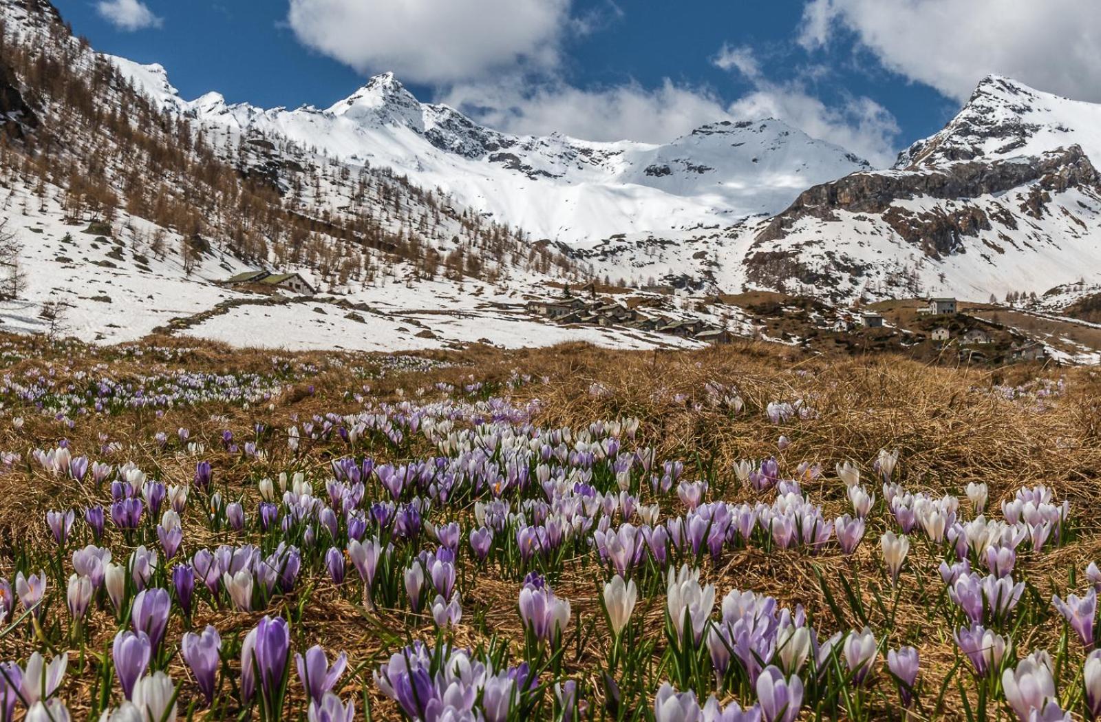 Appartamento San Giuan, ad un passo dal centro Chiavenna Esterno foto